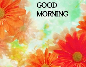 Good Morning Images Wallpaper Pics Download & Share