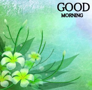 Good Morning Images Photo pic Download