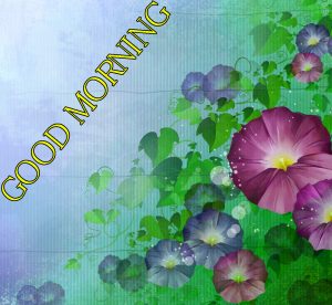 Good Morning Images Wallpaper Pictures