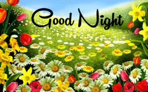 Beautiful Good Night Wishes Images wallpaper pics download