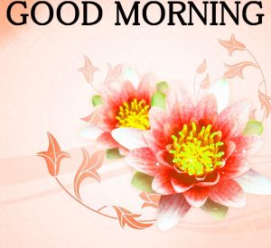 Good Morning Images Pictures Photo Download