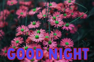 Beautiful Good Night Wishes Images Wallpaper Pic for Whatsapp