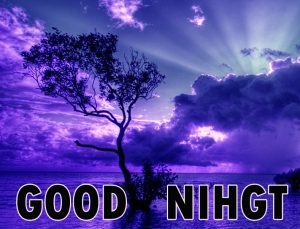 Beautiful Good Night Wishes Images Wallpaper Pics Free Download