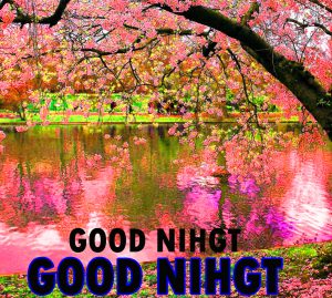 Beautiful Good Night Wishes Images Wallpaper Pics For Facebook