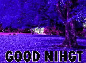 Beautiful Good Night Wishes Images Wallpaper Pic Download