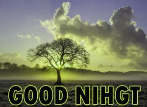 Beautiful Good Night Wishes Images Wallpaper pics for Whatsapp