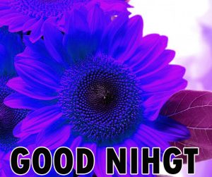 Beautiful Good Night Wishes Images Wallpaper pics Download