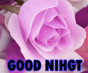 Beautiful Good Night Wishes Images Wallpaper Pics for Whatsapp