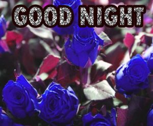 Beautiful Good Night Wishes Images Pics Download
