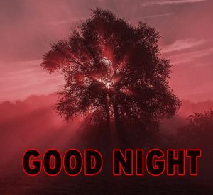 Beautiful Good Night Wishes Images Wallpaper for Whatsapp