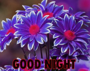 Beautiful Good Night Wishes Images Wallpaper Pics Download