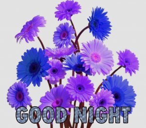 Beautiful Good Night Wishes Images Pictures Free Download