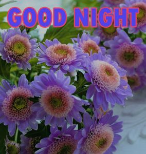 Beautiful Good Night Wishes Images Wallpaper Pics for Whatsapp