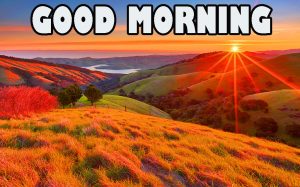 Gd mrng Wishes Images Photo Pics Free Download