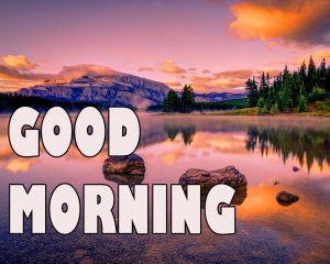 Gd mrng Wishes Images Pics Wallpaper for Whatsapp