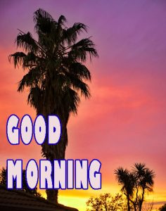 Gd mrng Wishes Images Wallpaper Pics for Whatsapp