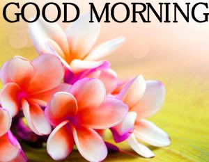 Good Morning Images Photo pICS fREE Download