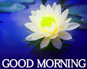 Good Morning Images Wallpaper Pic Download