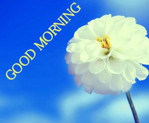 Good Morning Images Wallpaper pics for Facebook