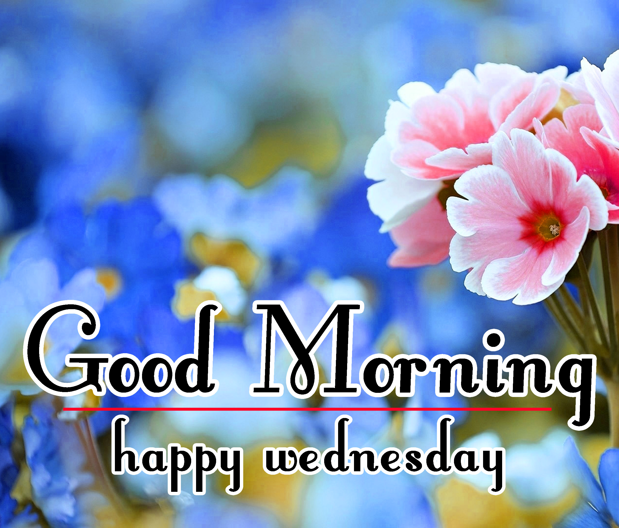 136 Good Morning Wednesday Images For Whatsapp Download Good Morning Images Good Morning Photo Hd Downlaod Good Morning Pics Wallpaper Hd