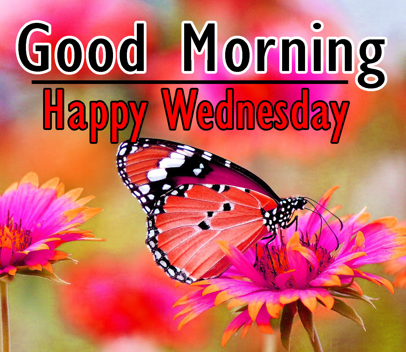 Good Morning Wednesday Images Pics Download 