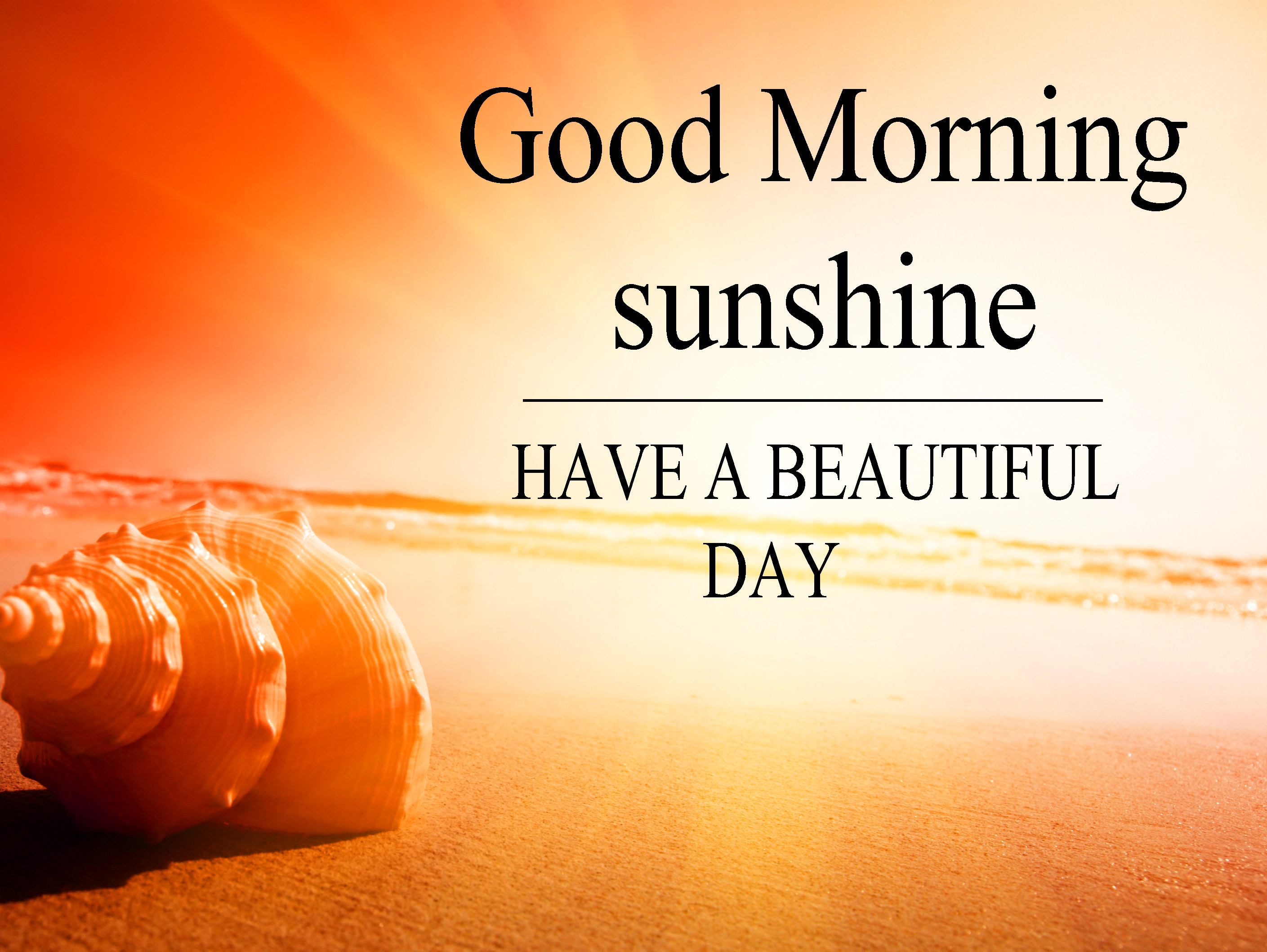 Sunsine Good Morning Images Pics Free Download 
