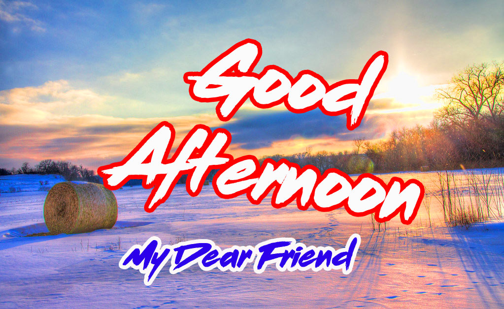 222+ Good Afternoon Images Photo HD Download