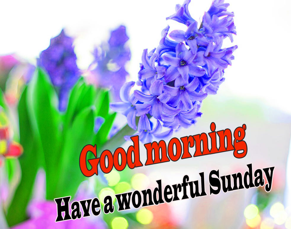 Sunday Good Morning Wishes Images Wallpaper HD