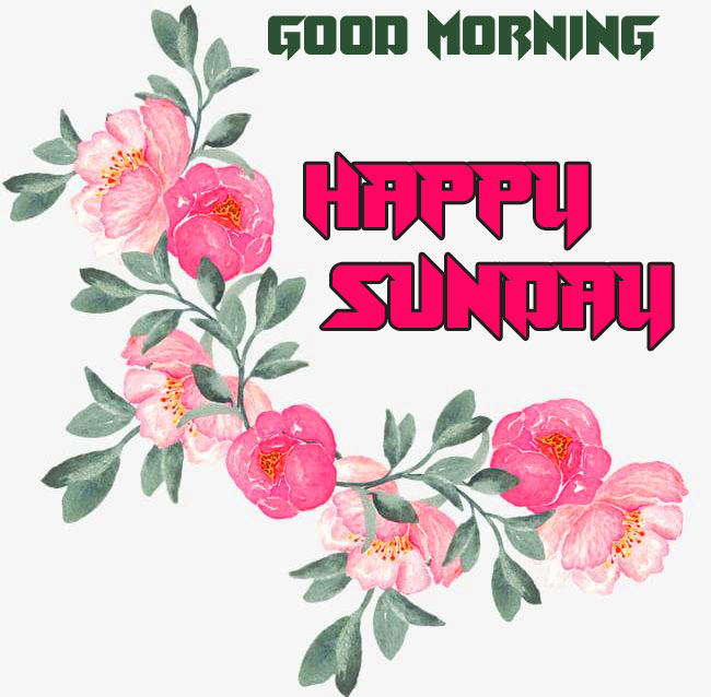 Sunday Good Morning Wishes Images Pics Wallpaper HD