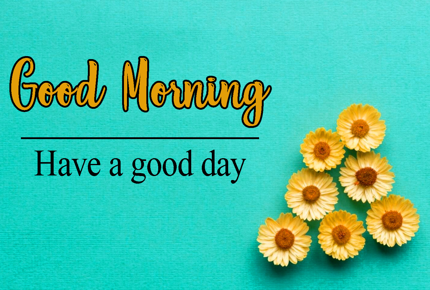 Good Morning Wallpaper Pictures Download 