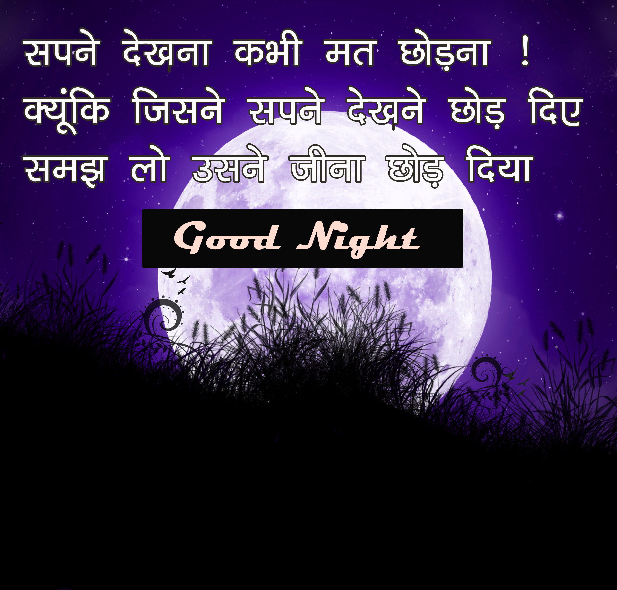 Hindi Motivational Quotes Good Night  Pictures Free