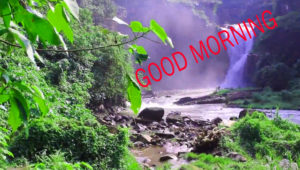 Nature Good Morning Images photo download