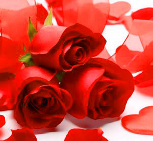 Romantic Love Profile Images wallpaper photo for whatsapp