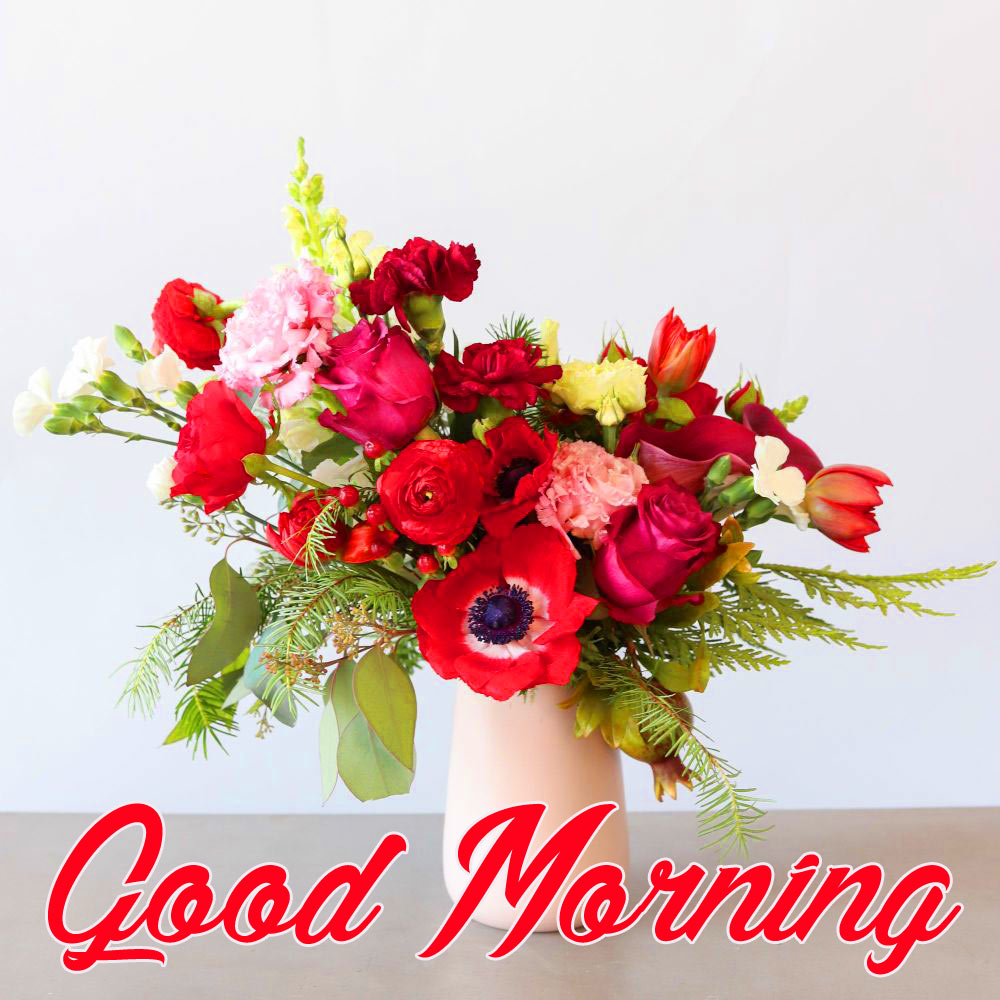 Flower Good morning  Images Wallpaper Download