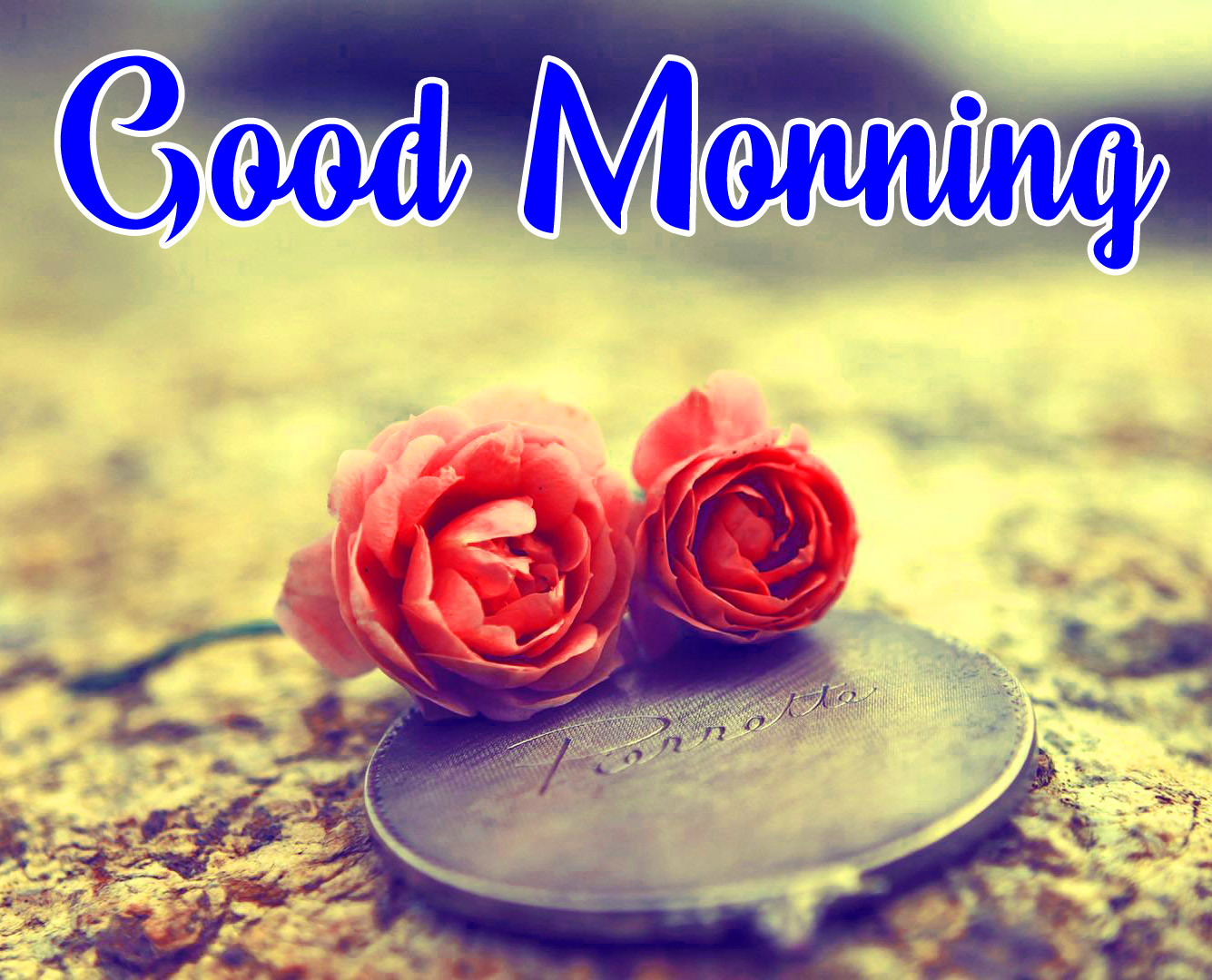 Flowers Love Good Morning Images For Whatsapp