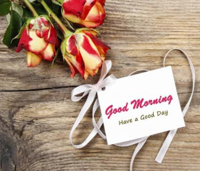 635+ Flowers Love Good Morning Images Pics HD Download