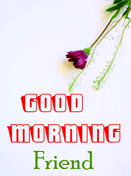 Friend Good Morning Images Pics Free 