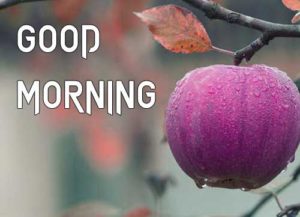 Good Morning Images pictures wallpaper download