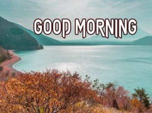 Good Morning Images pics download