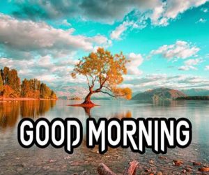 Good Morning Images pictures hd