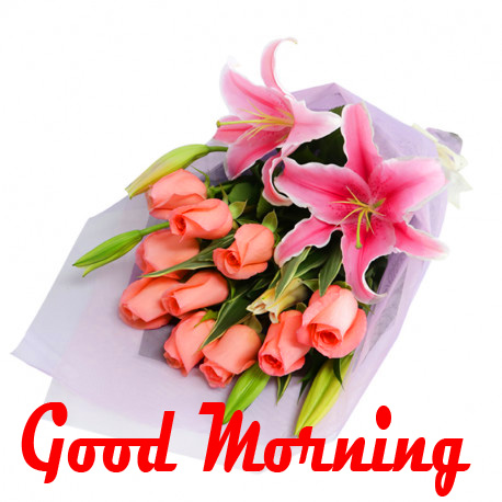 246+ Good Morning Images Photo Pictures With Flowers HD Download