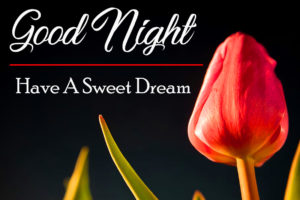 421+ Beautiful Good Night Wishes Images Pics Wallpaper for Whatsapp