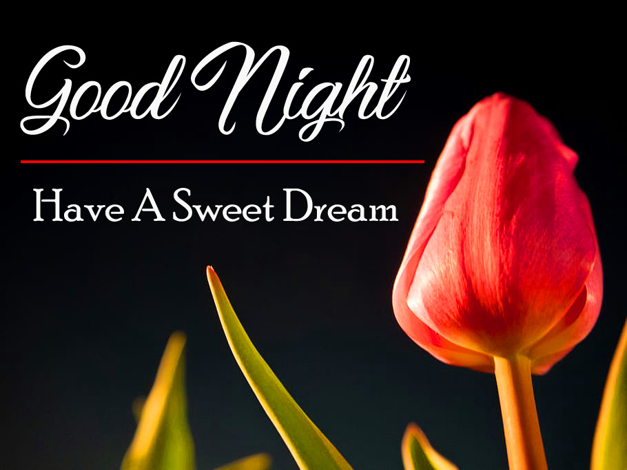 421+ Beautiful Good Night Wishes Images Pics Wallpaper for Whatsapp
