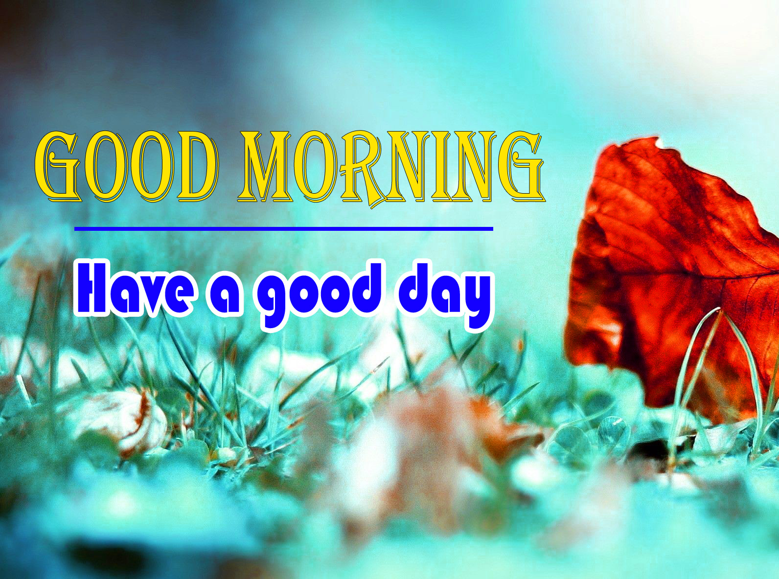 Unique Good Morning Images Wallpaper New Download 