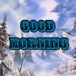 Winter Good Morning Images Pics Free Download