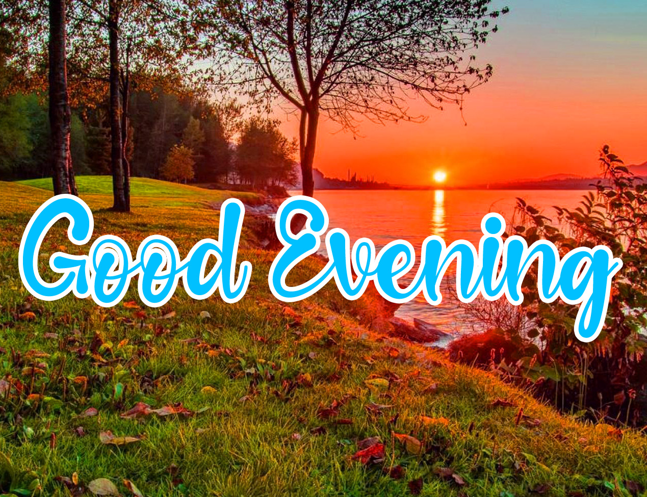 Free Sweet good evening images Photo Download 