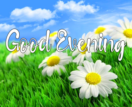 good evening images Photo Download 