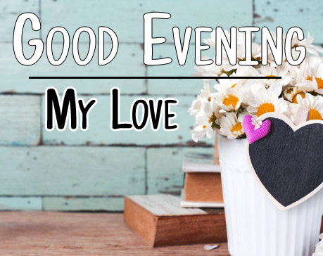 Free Good Evening Rose Wallpaper Download 