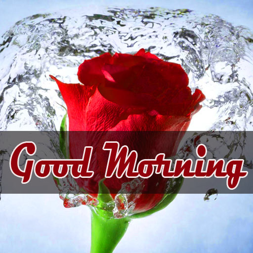 Good Morning Photo Wallpaper Free For Love Couple