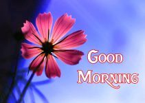 171+ Good Morning Images Photo Wallpaper For Her Download
